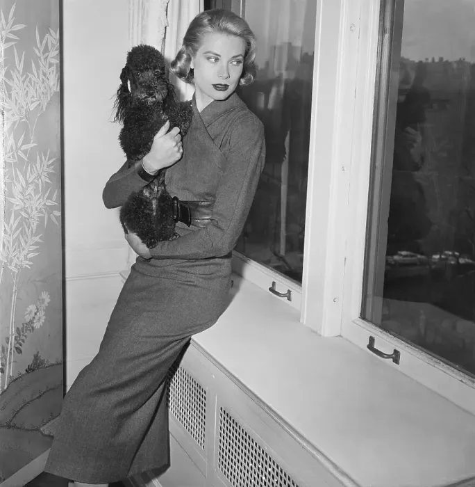 Framed Print : Grace Kelly and Poodle Posing by Window Framed Print : Grace Kelly and Poodle Posing by Window
