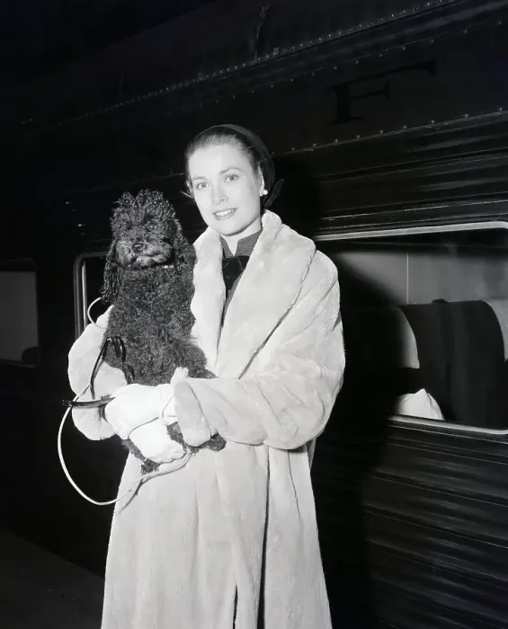 Framed Print : Grace Kelly Poses With Poodle; Fur Coat Framed Print : Grace Kelly Poses With Poodle; Fur Coat