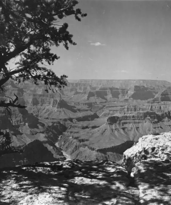 Framed Print : Grand Canyon Framed Print : Grand Canyon