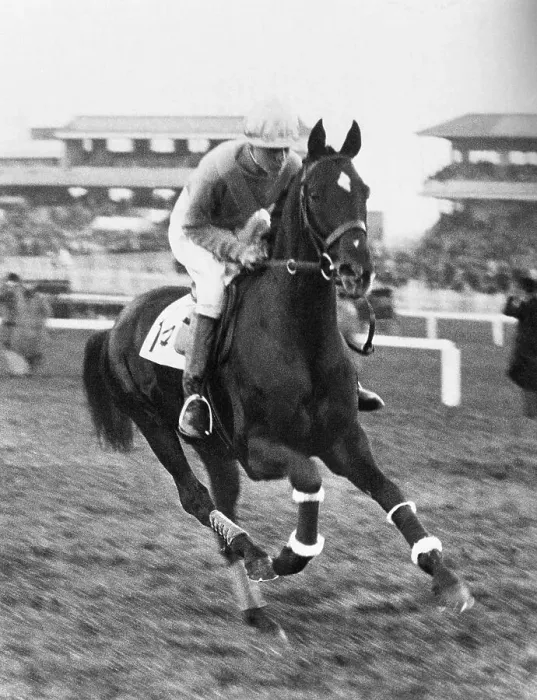 Framed Print : Grand National Entry Framed Print : Grand National Entry