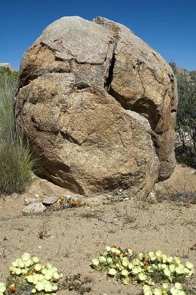 Granite rock, split by extreme temperature fluctuations, Namaqualand, South Africa, Africa