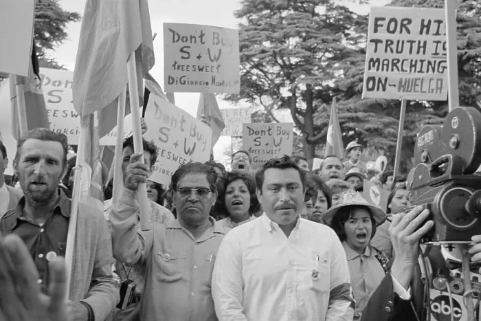Framed Print : Grape Strikers Protesting with Signs Framed Print : Grape Strikers Protesting with Signs