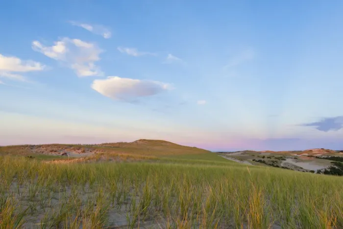 Framed Print : Grass on dunes at sunset, Provincetown, Cape Cod National Seashore, Massachusetts, USA Framed Print : Grass on dunes at sunset, Provincetown, Cape Cod National Seashore, Massachusetts, USA
