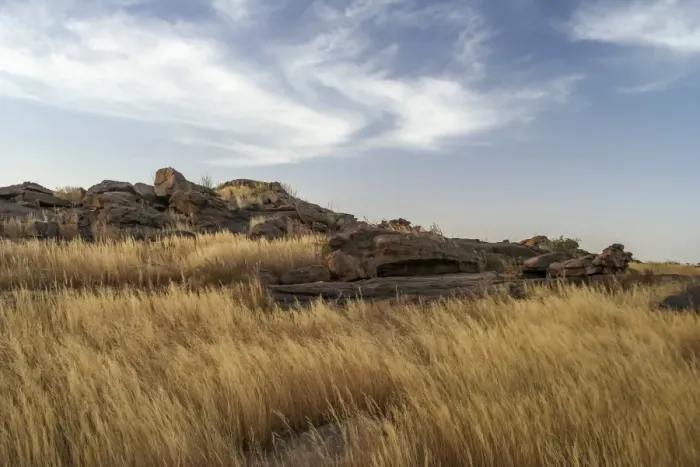 Framed Print : Grassland on top of Bandiagara Escarpment Framed Print : Grassland on top of Bandiagara Escarpment