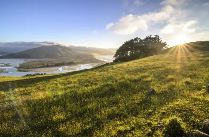Framed Print : Grassland, Hoopers Inlet at the back, a bay on the Otago Peninsula, South Island, New Zealand, Oceania Framed Print : Grassland, Hoopers Inlet at the back, a bay on the Otago Peninsula, South Island, New Zealand, Oceania