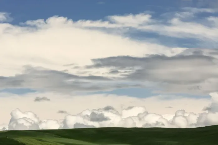 Framed Print : Grassy field on cloudy day, Palouse, Washington State, USA Framed Print : Grassy field on cloudy day, Palouse, Washington State, USA