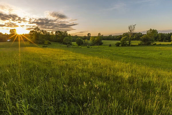 Grassy field at sunset, Epping, New Hampshire, USA