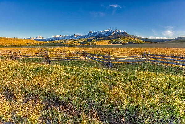 Grassy landscape at sunset, Colorado, USA