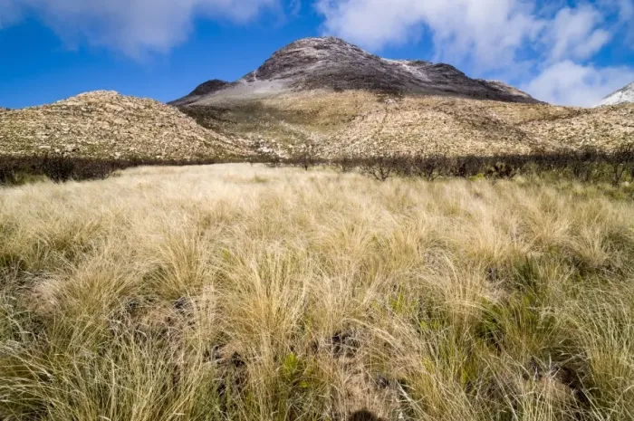 Framed Print : Grassy plain, Swartberg mountains, Western Cape, South Africa, Africa