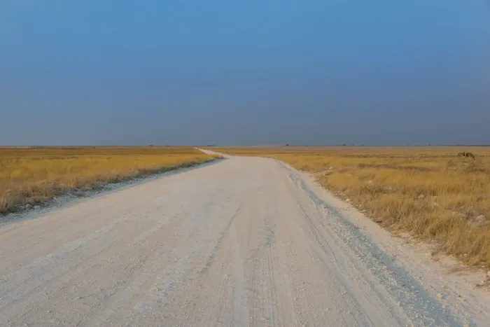 Framed Print : Gravel road in Etosha National Park, Namibia