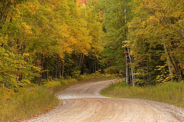 Gravel road through Hiawatha National Forest, Upper Peninsula of Michigan, USA