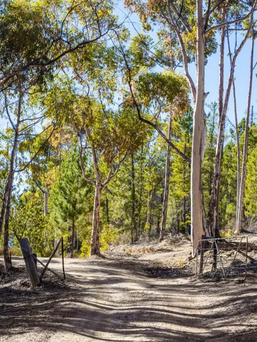 Framed Print : Gravel road leading through a gate Framed Print : Gravel road leading through a gate