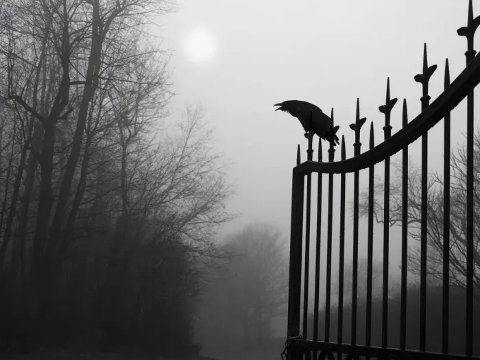 Framed Print : graveyard guardian Framed Print : graveyard guardian