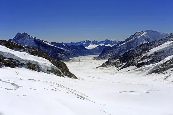 Great Aletsch Glacier, Bernese Alps