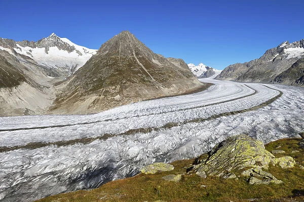 Great Aletsch Glacier, Mt Olmenhorn at the front, Mt Aletschhorn at the back, Canton of Valais, Goms, Switzerland