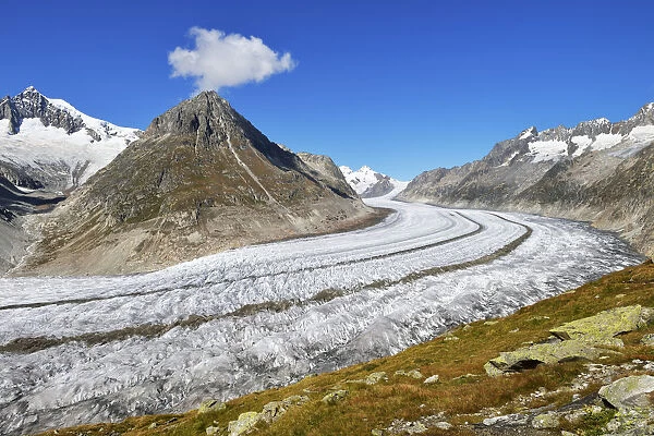 Great Aletsch Glacier, Mt Olmenhorn at the front, Mt Aletschhorn at the back, Canton of Valais, Goms, Switzerland