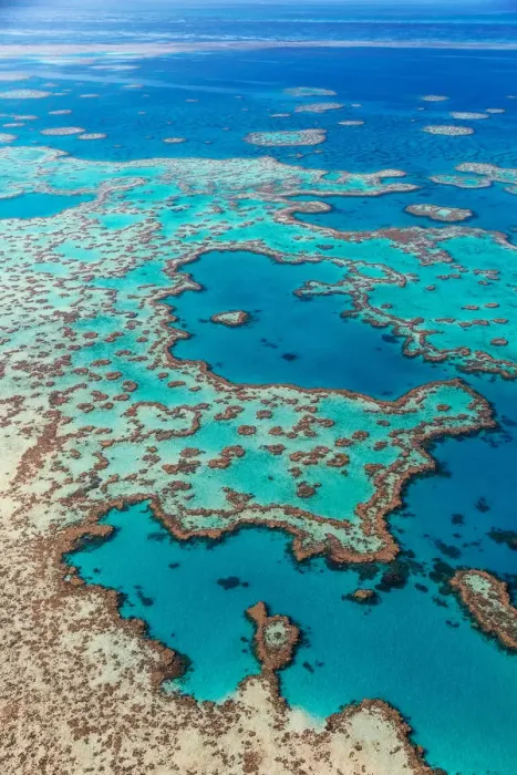 Framed Print : Great Barrier Reef Framed Print : Great Barrier Reef