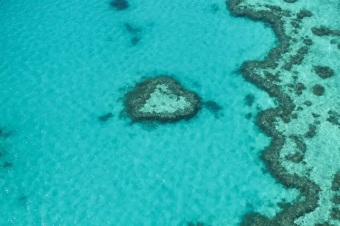 Framed Print : Great Barrier Reef