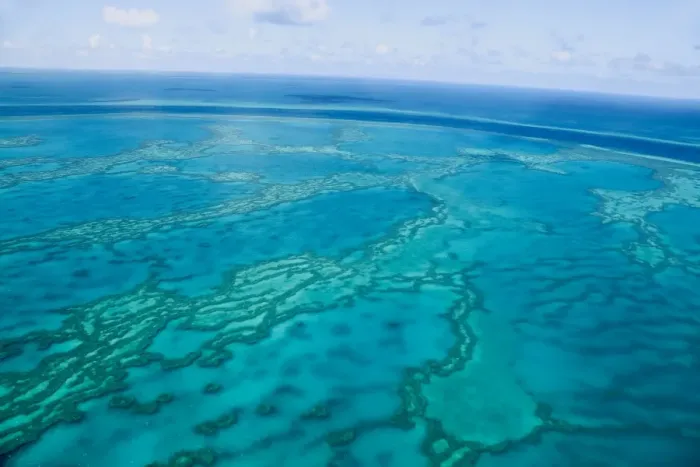 Framed Print : Great Barrier Reef Framed Print : Great Barrier Reef