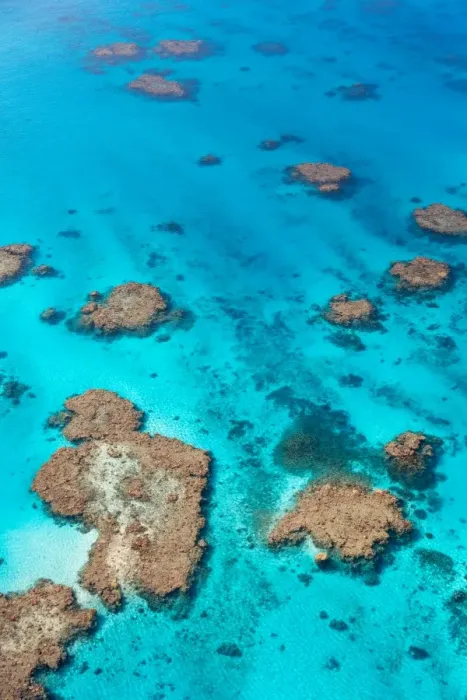 Framed Print : Great Barrier Reef Framed Print : Great Barrier Reef