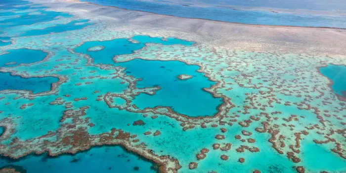 Framed Print : Great Barrier Reef