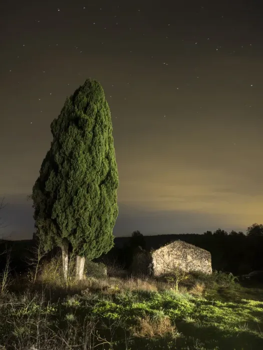 Framed Print : Great cypress of more than 100 years close to a farmhouse in ruins. In the mountain Framed Print : Great cypress of more than 100 years close to a farmhouse in ruins. In the mountain