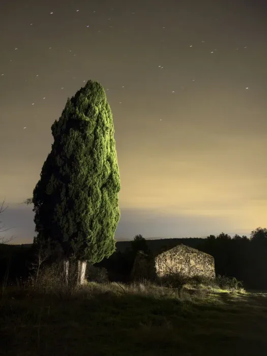 Framed Print : Great cypress of more than hundred years close to a farmhouse in ruins in the field Framed Print : Great cypress of more than hundred years close to a farmhouse in ruins in the field
