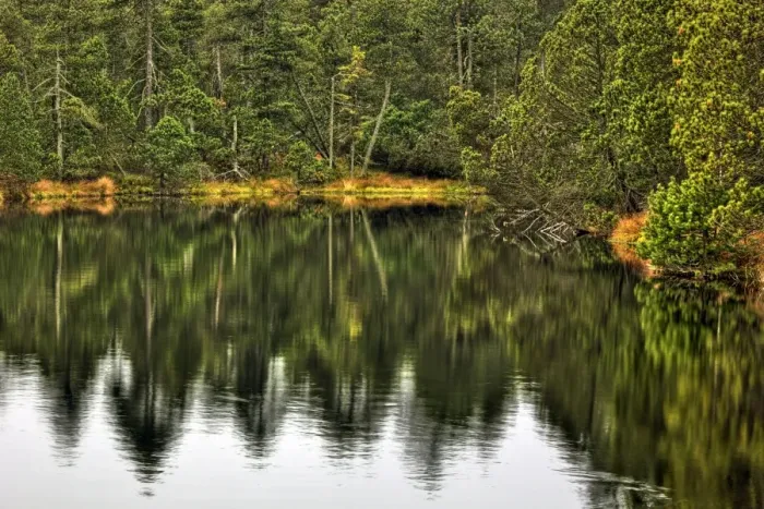 Framed Print : Great Moss Lake or Velke mechove jezirko, National Nature Reserve Rejviz, Jeseniky Protected Landscape Area, Jesenik district, Olomoucky region, Czech Republic Framed Print : Great Moss Lake or Velke mechove jezirko, National Nature Reserve Rejviz, Jeseniky Protected Landscape Area, Jesenik district, Olomoucky region, Czech Republic