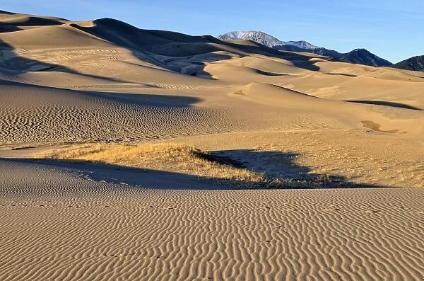 Great Sand Dunes National Park in the evening light, Mount Herard at the back, Mosca, Colorado, USA
