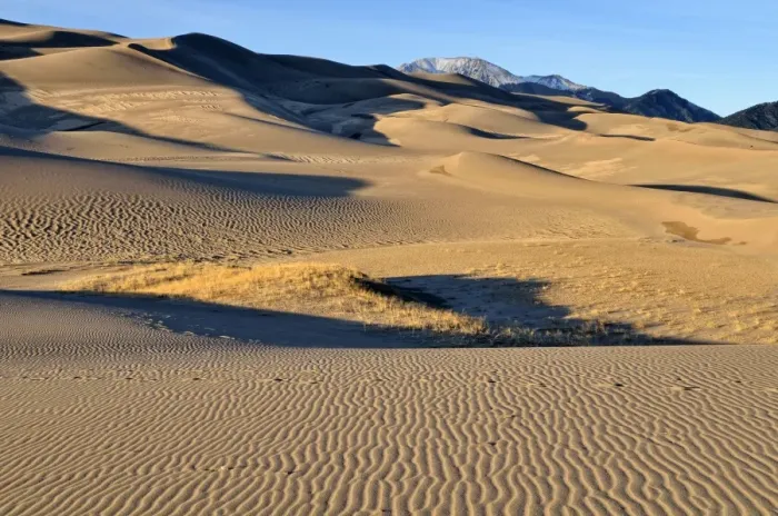Framed Print : Great Sand Dunes National Park in the evening light, Mount Herard at the back, Mosca, Colorado, USA Framed Print : Great Sand Dunes National Park in the evening light, Mount Herard at the back, Mosca, Colorado, USA