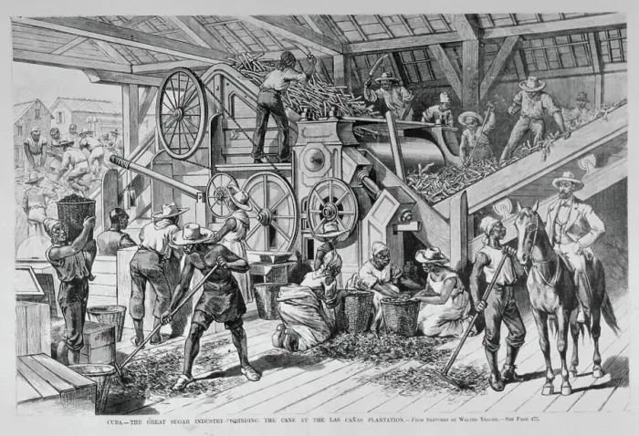 Framed Print : The Great Sugar Industry Grinding Sugar Cane Framed Print : The Great Sugar Industry Grinding Sugar Cane