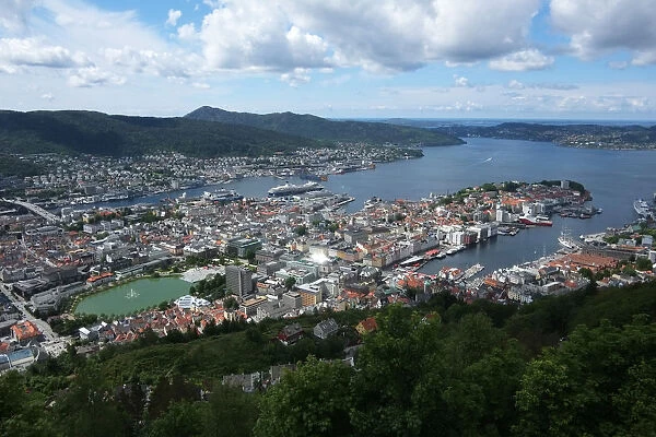 Greater Bergen and harbor from Floyen