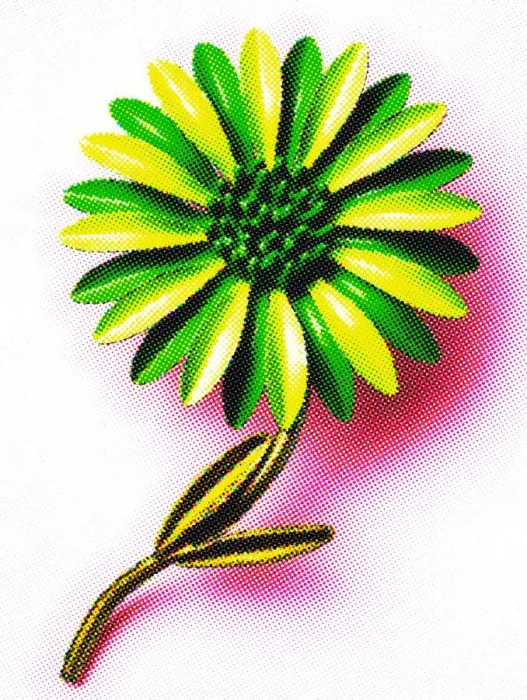 Framed Print : Green Flower Framed Print : Green Flower