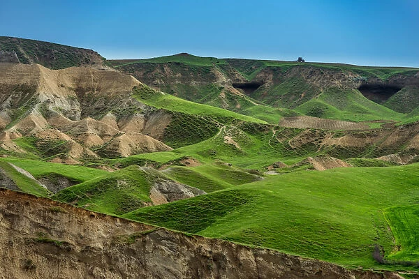Green grass hill landscape of East Turkey