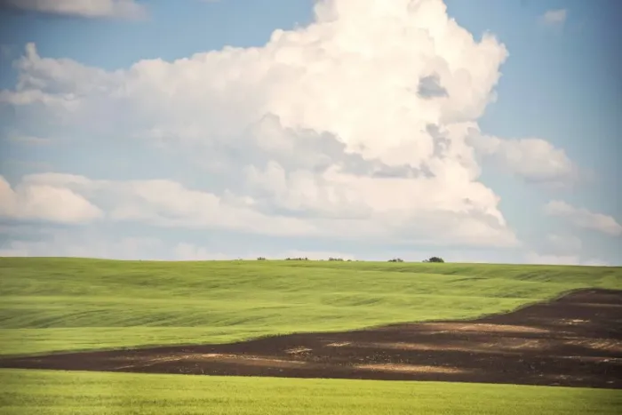 Framed Print : Green landscape over clear sky in siberia