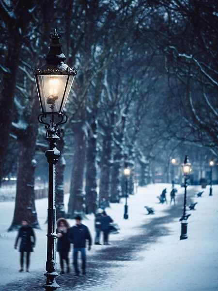 Green Park covered in snow, London, UK