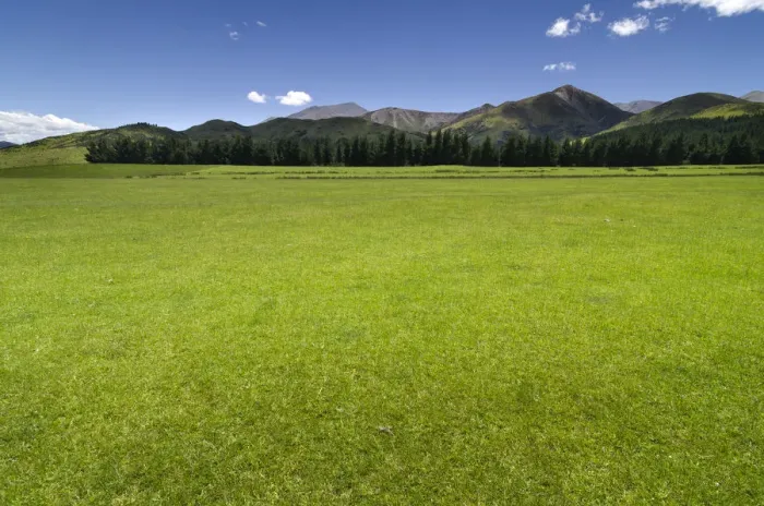 Framed Print : Green pasture, mountain range in the Canterbury Highlands at the back, South Island, New Zealand