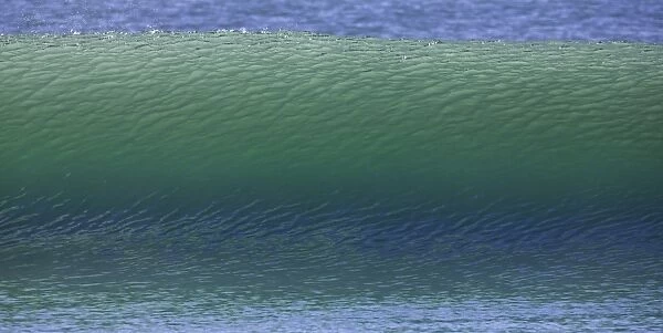 Green sea wave, backlit, East Cape, New Zealand