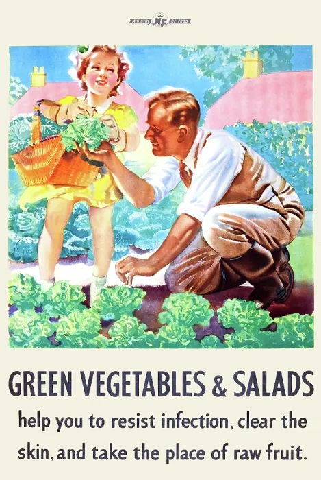 Framed Print : Green Vegetables & Salads Framed Print : Green Vegetables & Salads