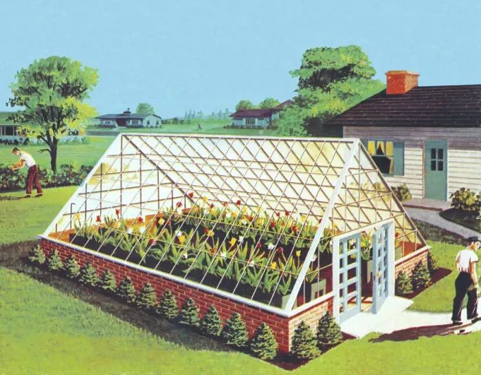 Framed Print : Greenhouse in Backyard