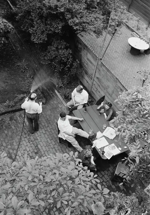 Framed Print : Greenwich Village Garden Framed Print : Greenwich Village Garden