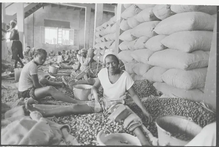 Framed Print : Grenadan Women Working in Factory Framed Print : Grenadan Women Working in Factory