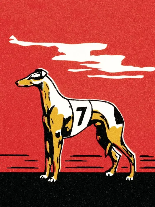 Framed Print : Greyhound. http: / / csaimages.com / images / istockprofile / csa_vector_dsp.jpg Framed Print : Greyhound. http: / / csaimages.com / images / istockprofile / csa_vector_dsp.jpg