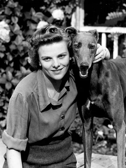 Framed Print : Greyhound. 12th October 1946: A woman with the record-breaking racing greyhound Framed Print : Greyhound. 12th October 1946: A woman with the record-breaking racing greyhound