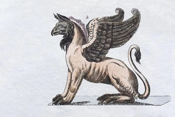 Griffin, hand - colored engraving from Friedrich Justin Bertuch Picture book for children