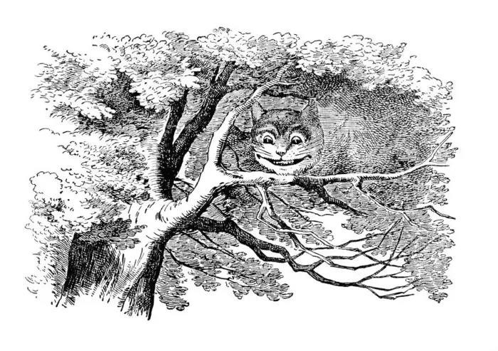 Framed Print : Grinning Cat, Alices Adventures in Wonderland Framed Print : Grinning Cat, Alices Adventures in Wonderland