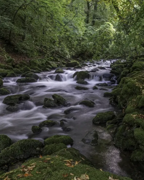 Framed Print : Grisedale Beck