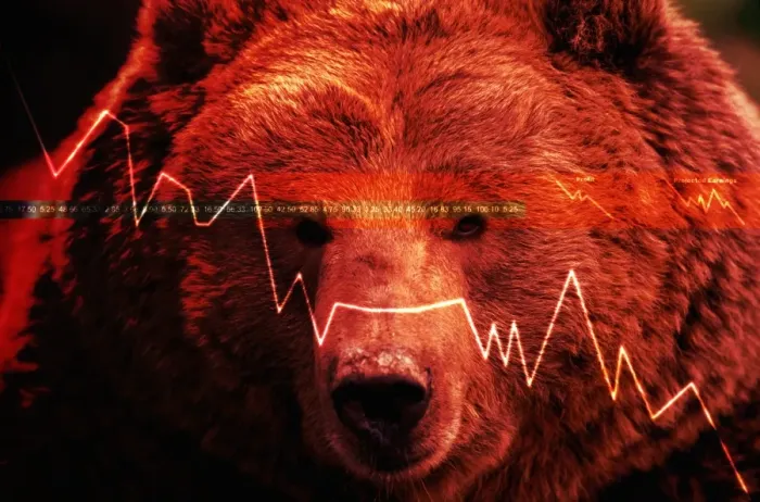 Framed Print : Grizzly Bear Framed Print : Grizzly Bear