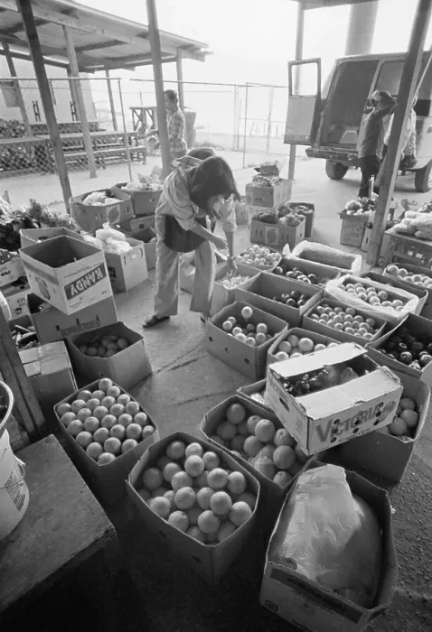 Framed Print : Grocer Unloading Produce at Market Framed Print : Grocer Unloading Produce at Market