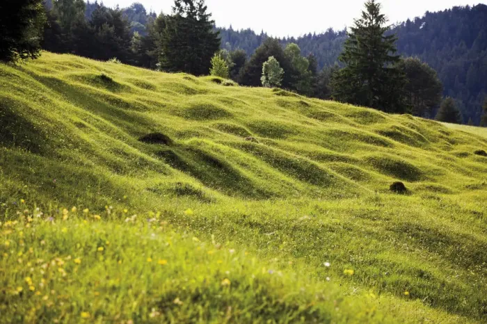 Framed Print : Groeblalm mountain pastures near Mittenwald, Karwendelgebirge mountains, Werdenfelser Land area, Upper Bavaria, Bavaria, Germany, Europe Framed Print : Groeblalm mountain pastures near Mittenwald, Karwendelgebirge mountains, Werdenfelser Land area, Upper Bavaria, Bavaria, Germany, Europe